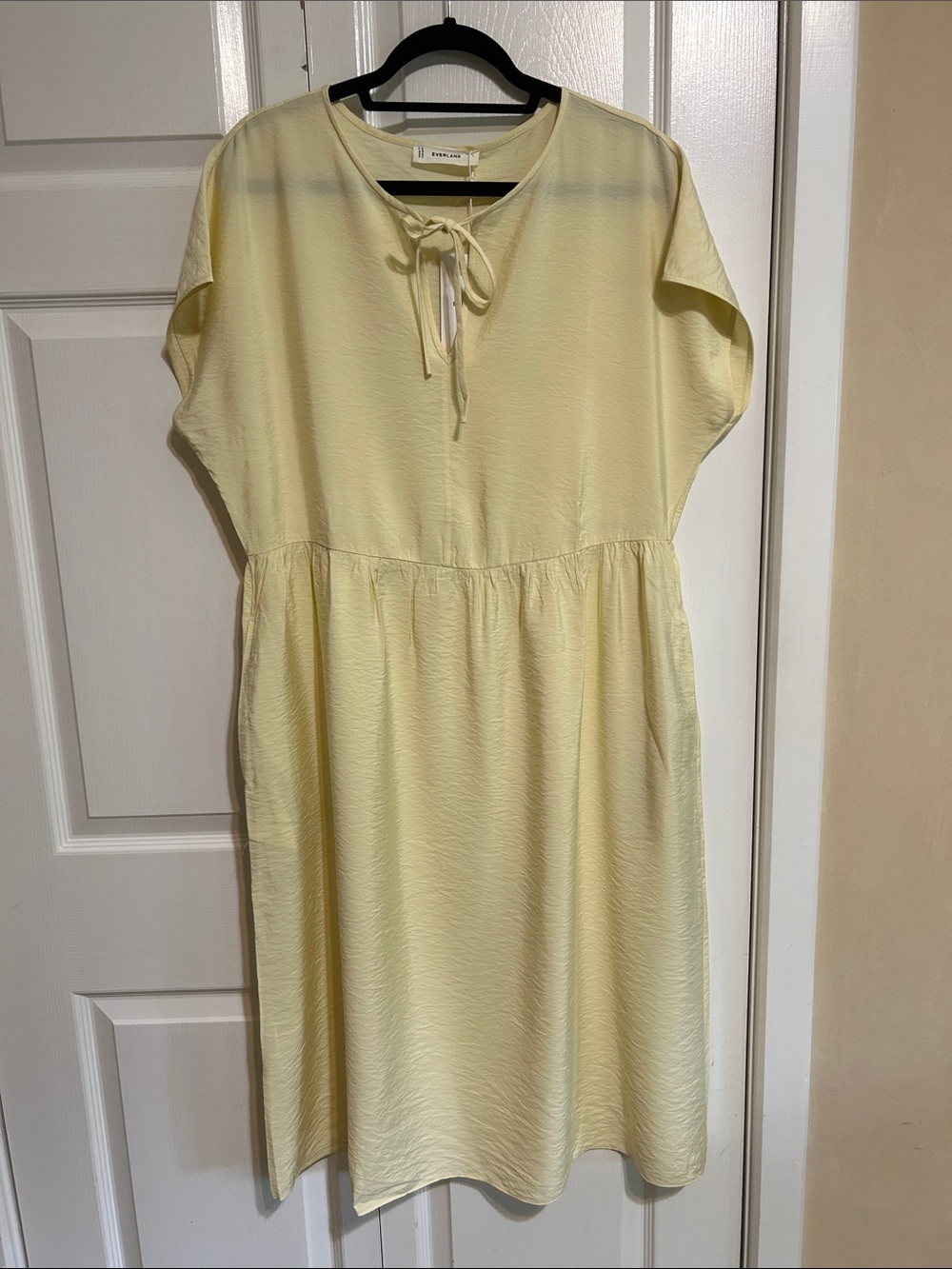 Everlane Pale Yellow Tie-Neck Top